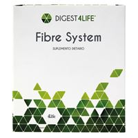 Fibre System